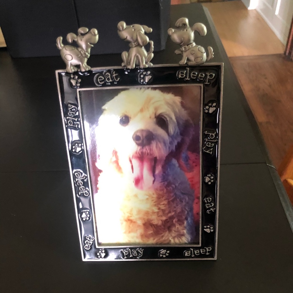 4X6 Dog Frame 🐾